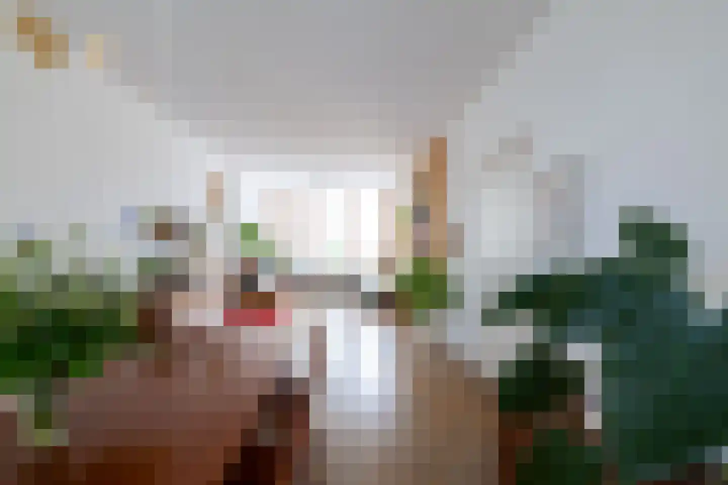 Laan van Meerdervoort 411 Den Haag thumbnail 56