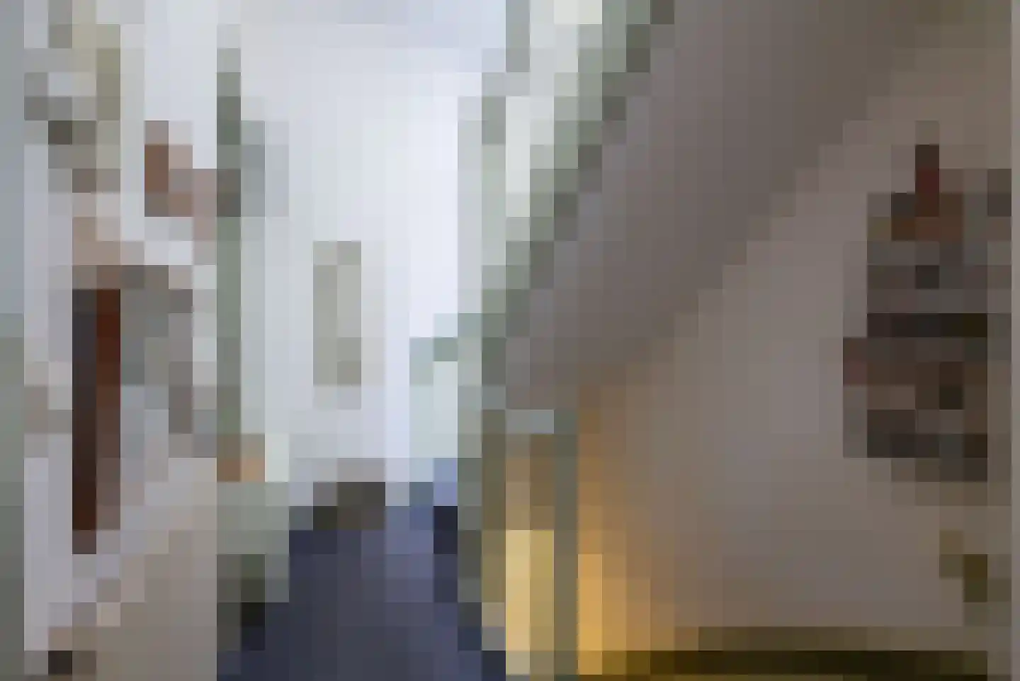 Laan van Meerdervoort 411 Den Haag thumbnail 66