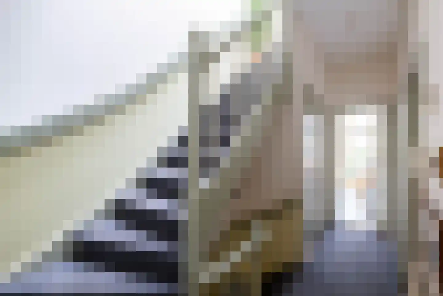 Laan van Meerdervoort 411 Den Haag thumbnail 67