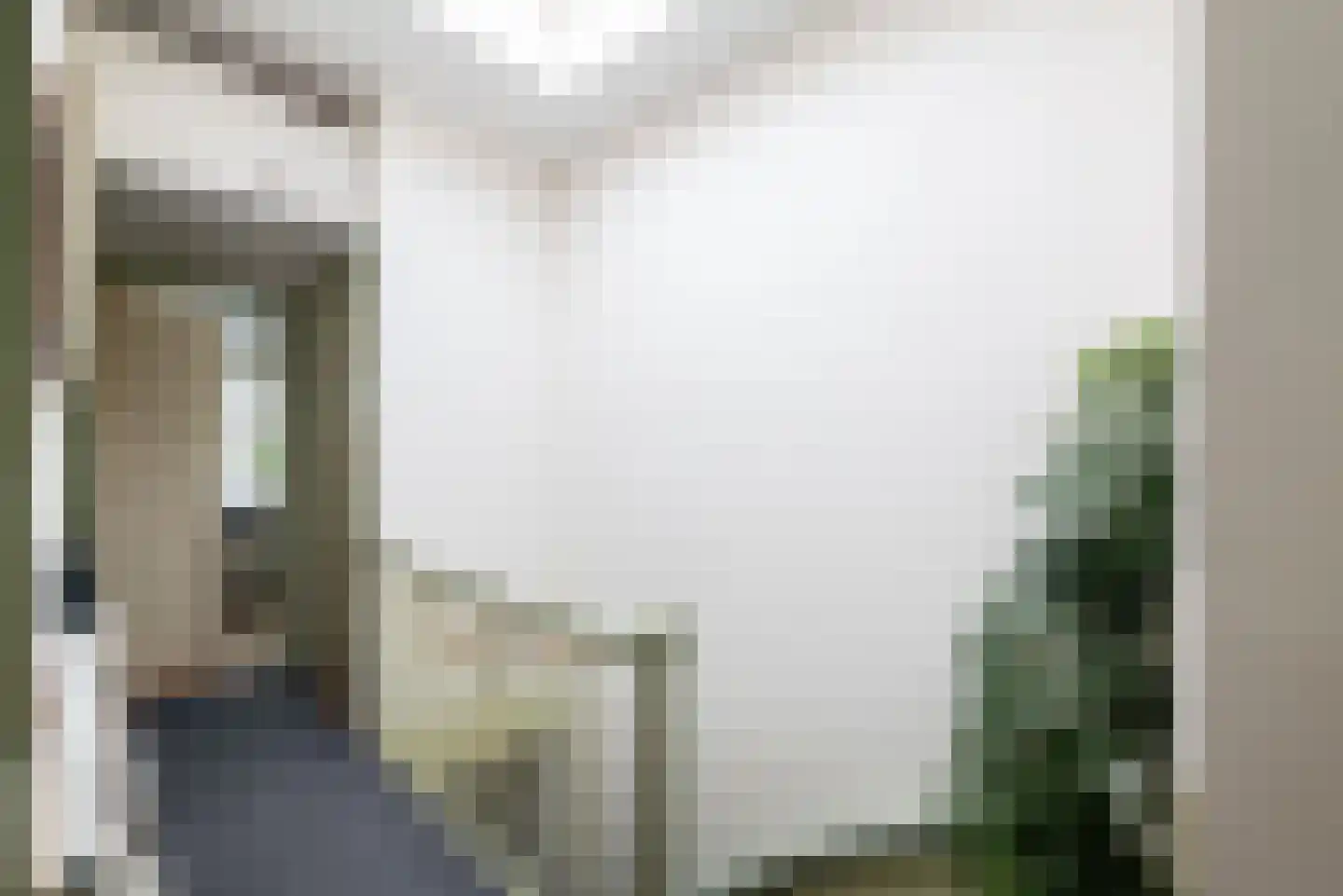Laan van Meerdervoort 411 Den Haag thumbnail 74