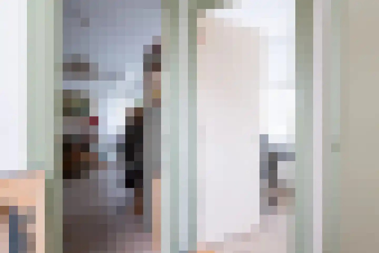 Laan van Meerdervoort 411 Den Haag thumbnail 79