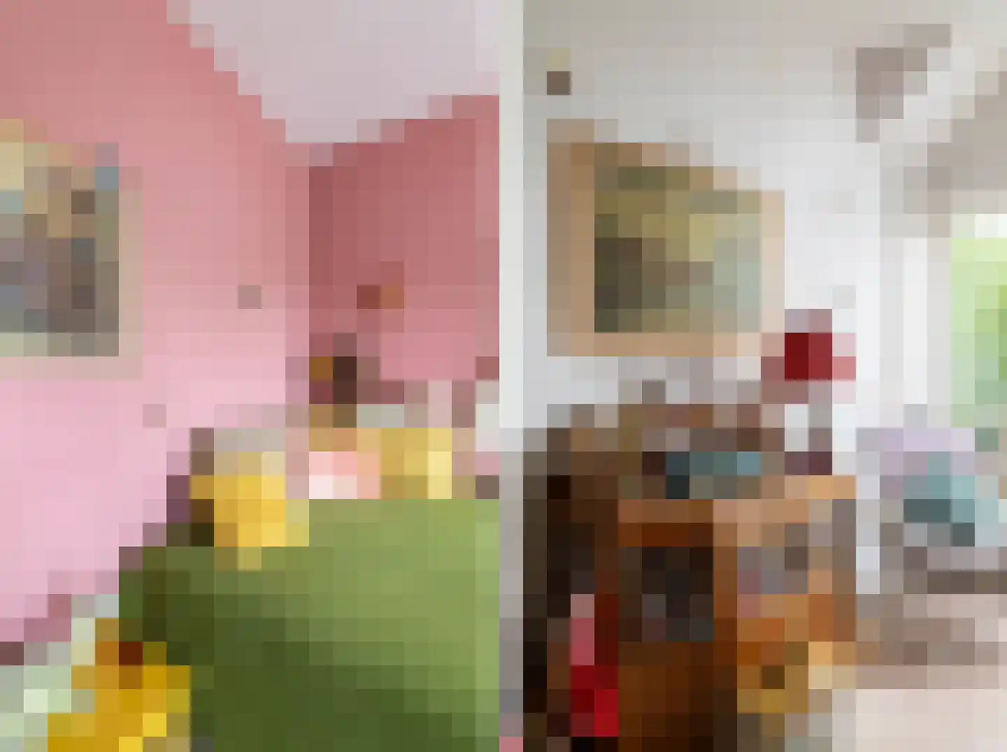 Laan van Meerdervoort 411 Den Haag thumbnail 83