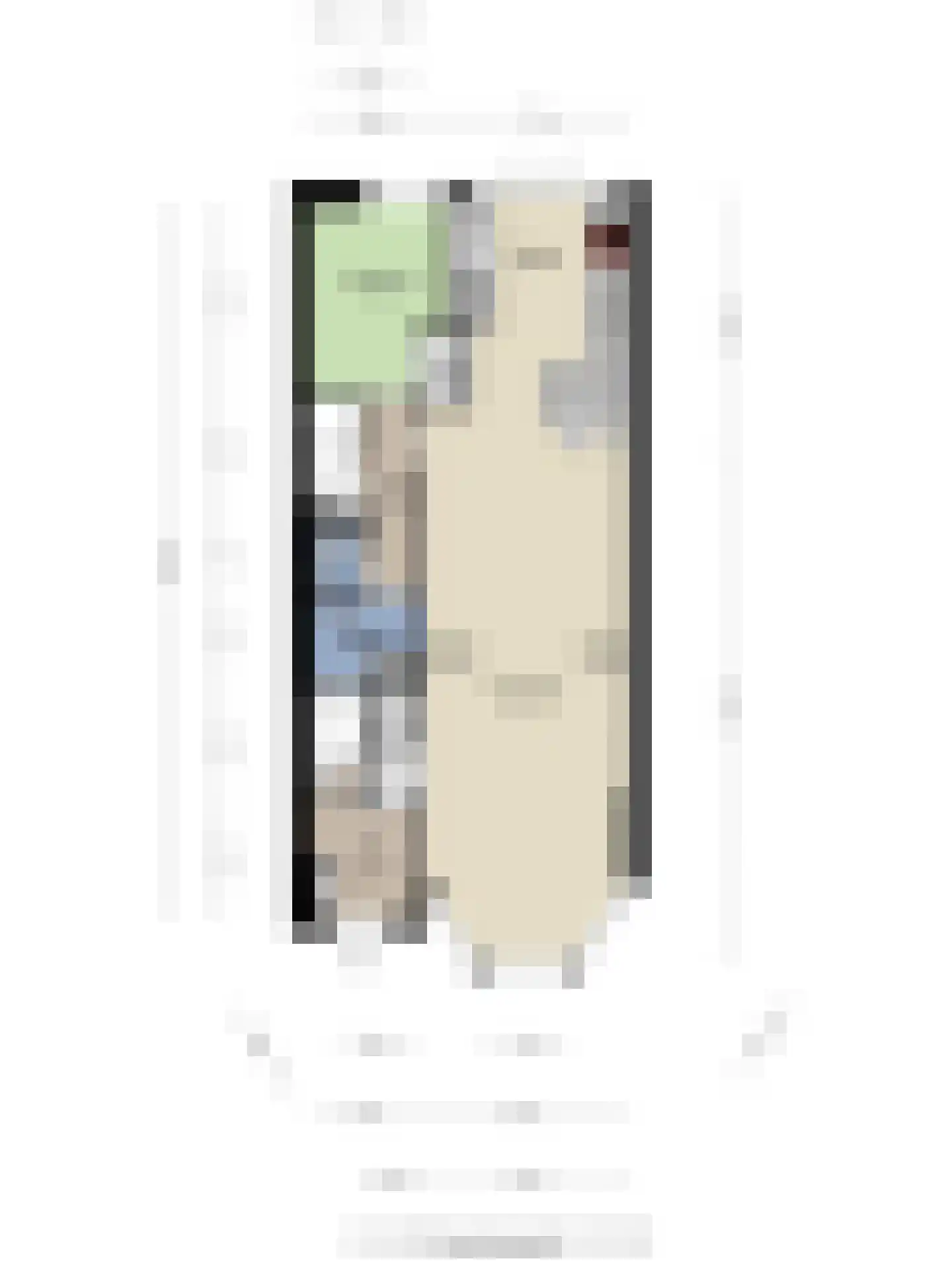 Laan van Meerdervoort 411 Den Haag thumbnail 89