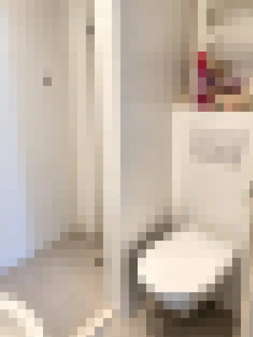 Laan van Meerdervoort 419 C Den Haag thumbnail 8
