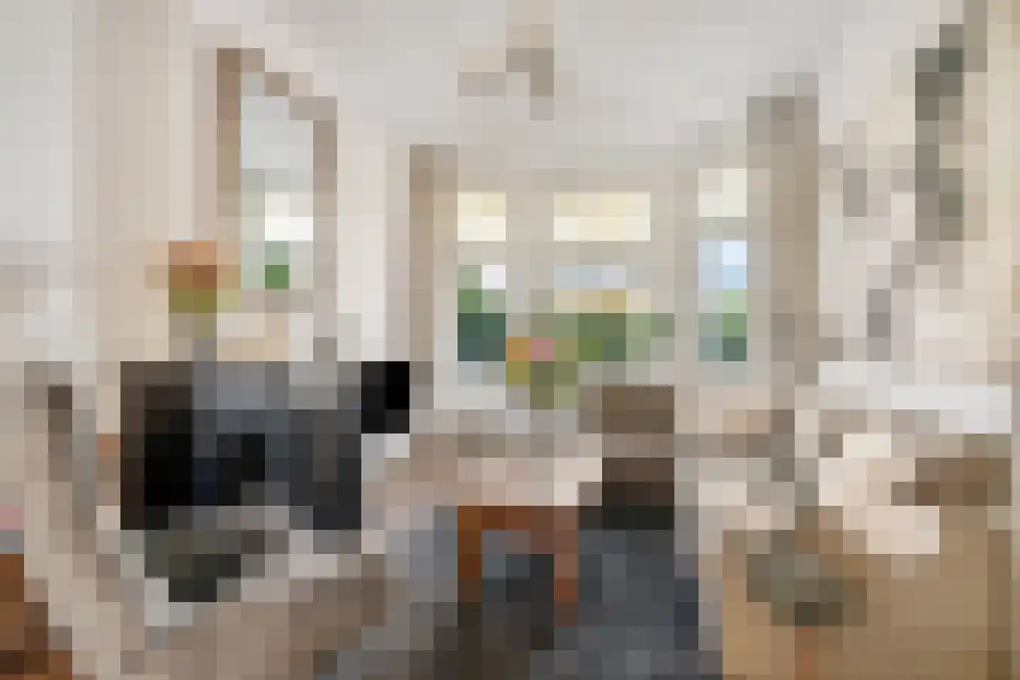 Laan van Meerdervoort 442 Den Haag thumbnail 10