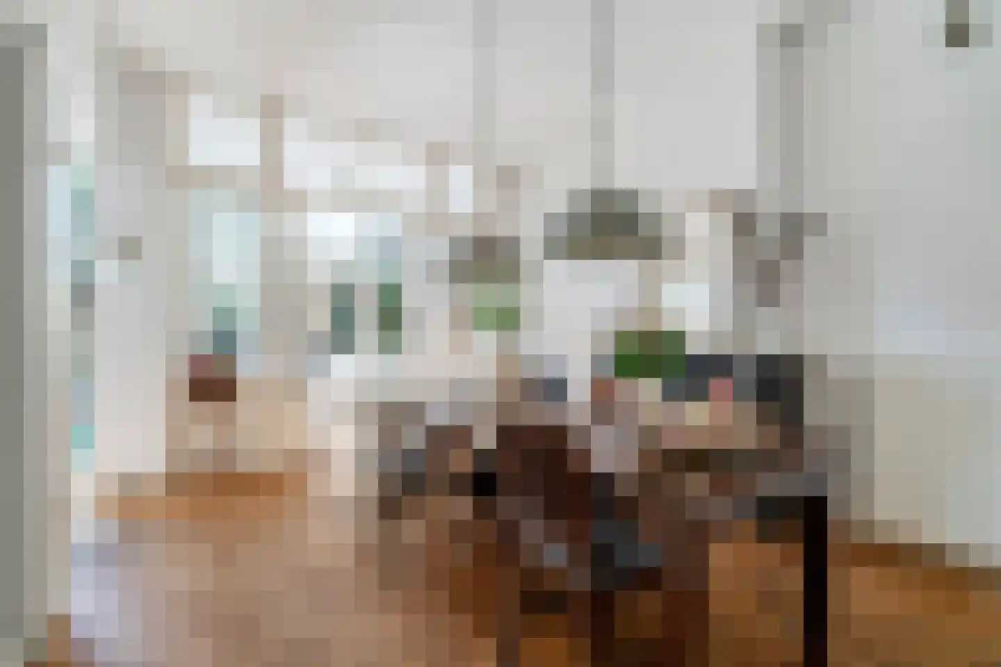 Laan van Meerdervoort 442 Den Haag thumbnail 15