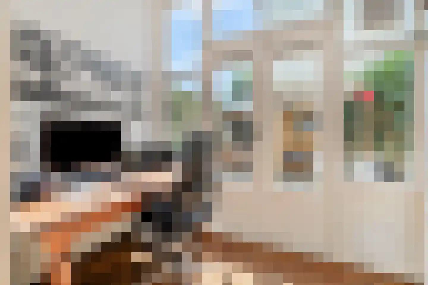 Laan van Meerdervoort 442 Den Haag thumbnail 20