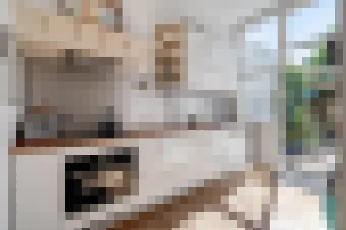 Laan van Meerdervoort 442 Den Haag thumbnail 22