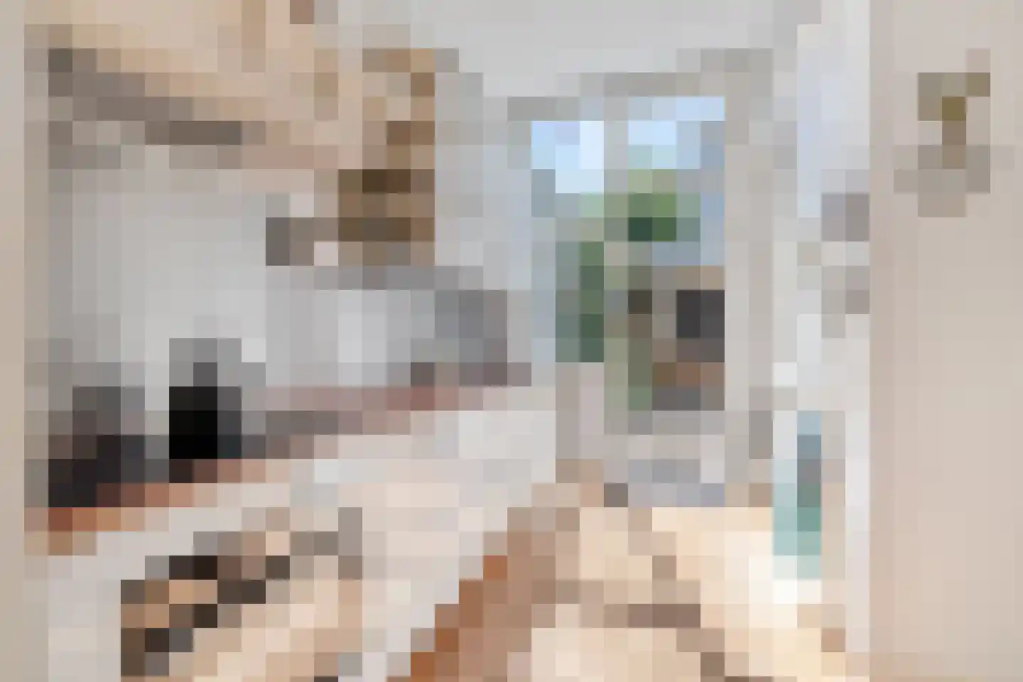 Laan van Meerdervoort 442 Den Haag thumbnail 23