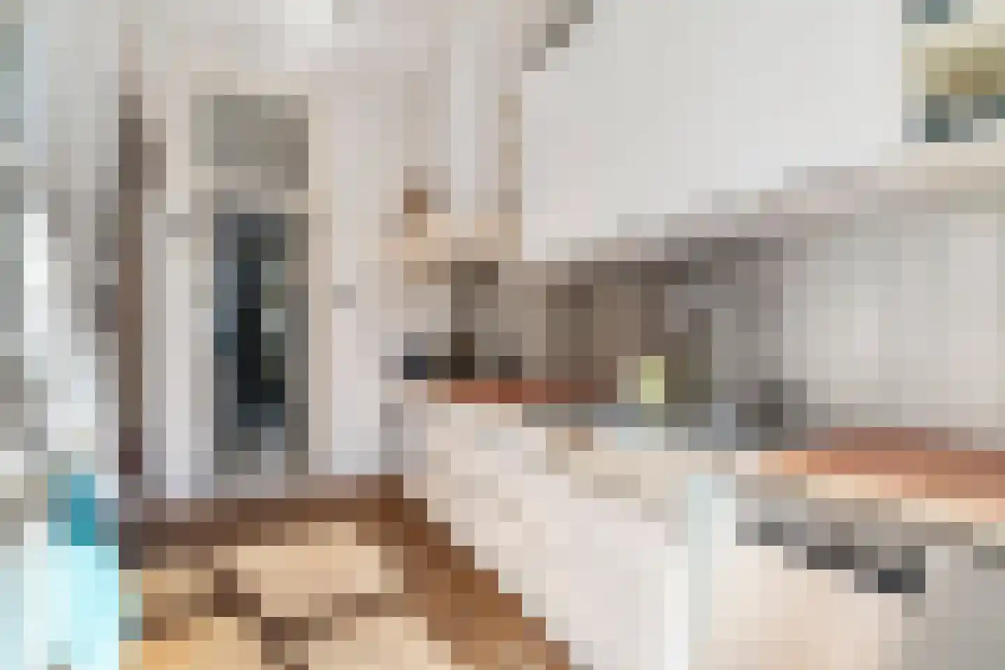 Laan van Meerdervoort 442 Den Haag thumbnail 24