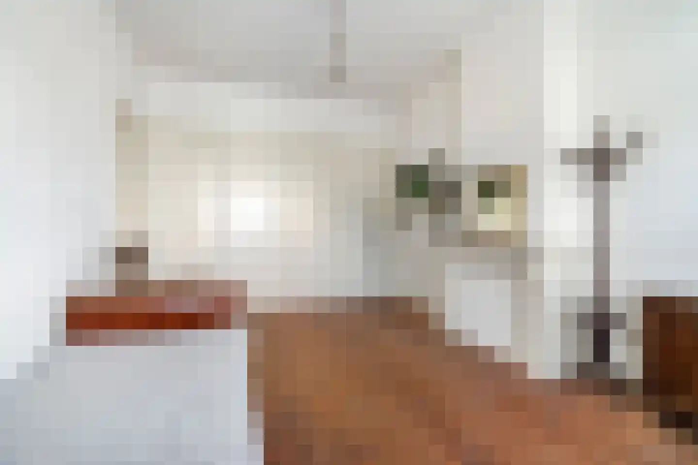 Laan van Meerdervoort 442 Den Haag thumbnail 28