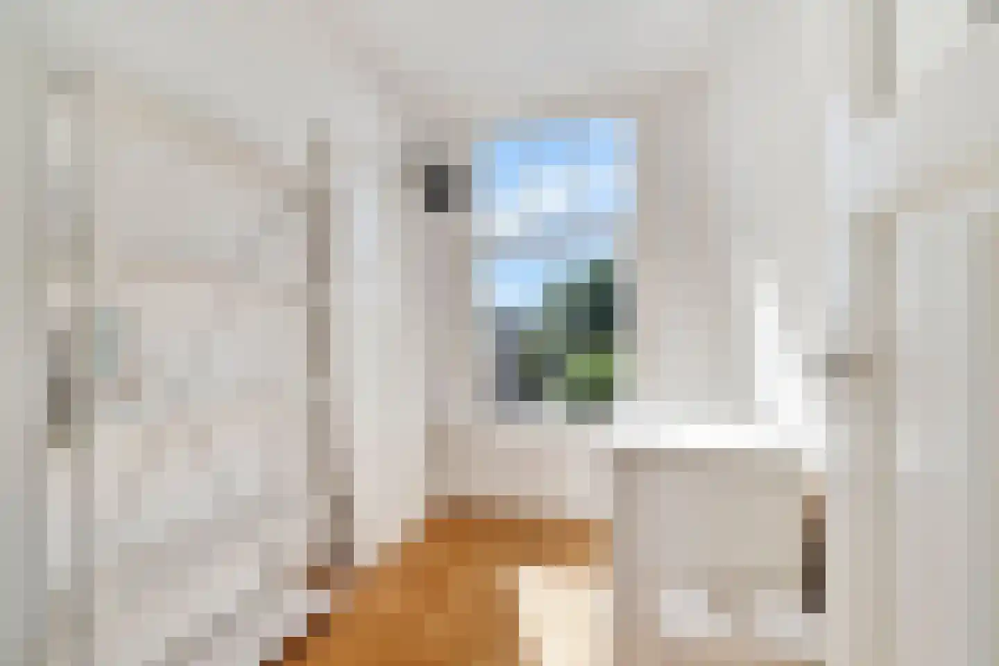 Laan van Meerdervoort 442 Den Haag thumbnail 44