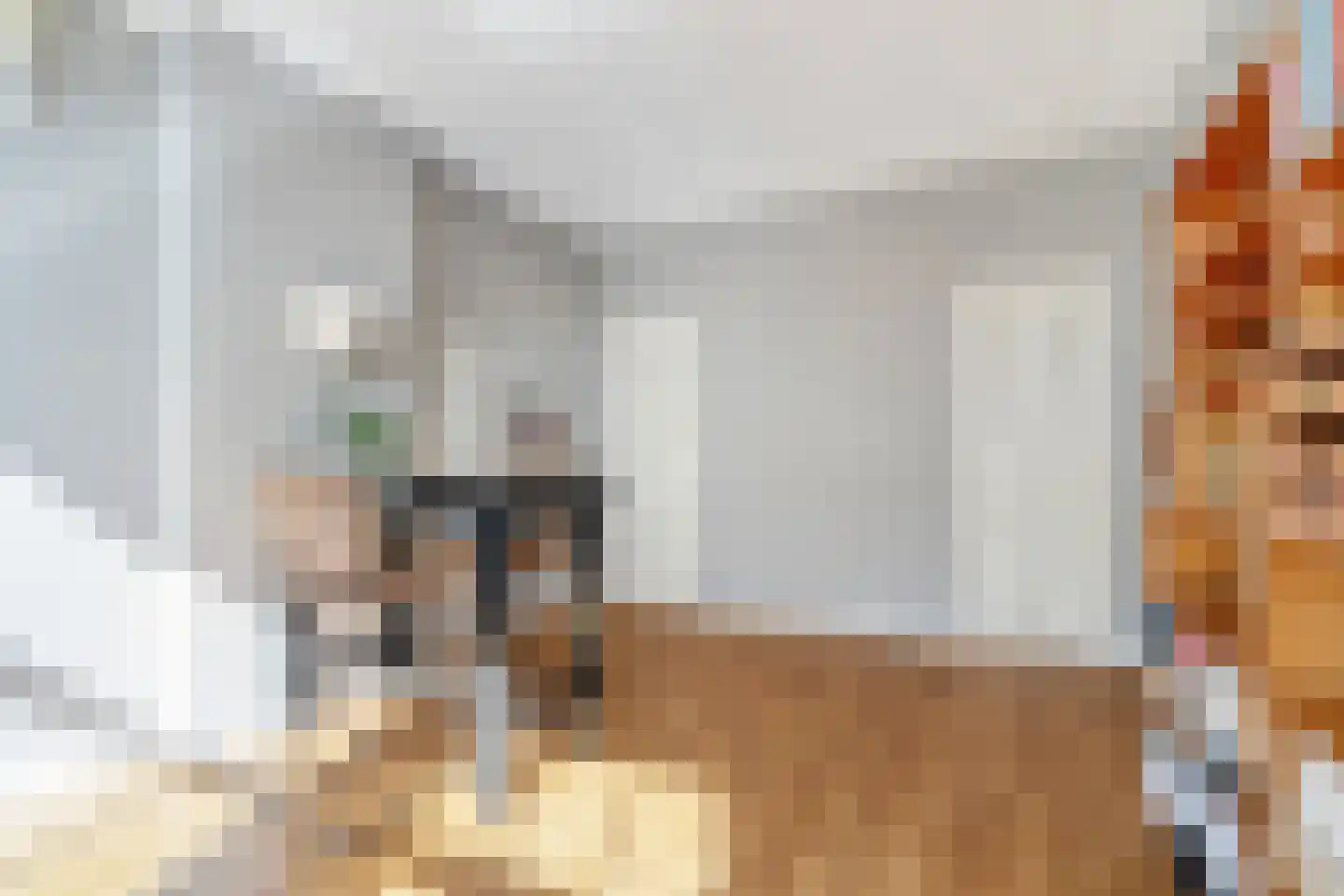 Laan van Meerdervoort 442 Den Haag thumbnail 44