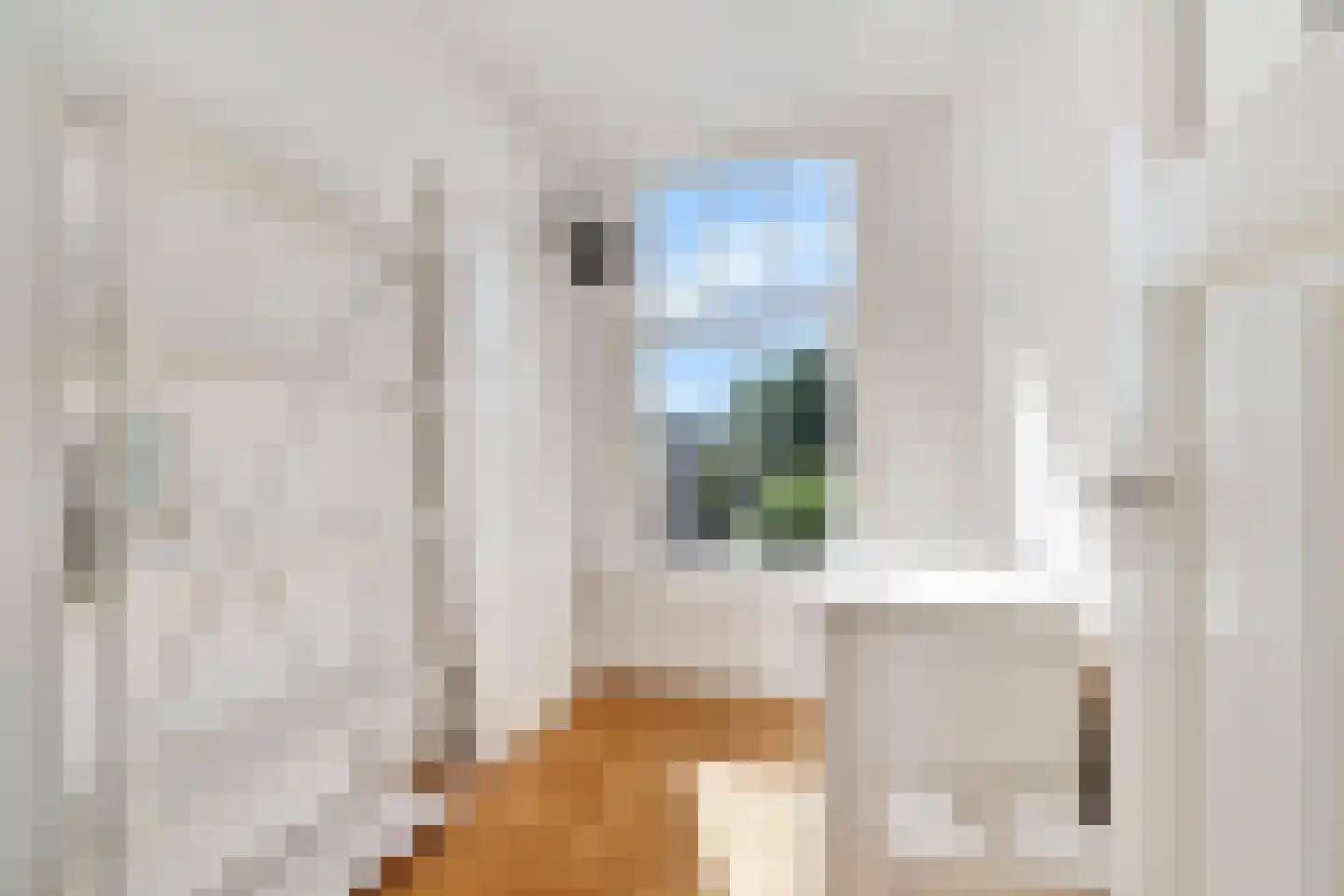 Laan van Meerdervoort 442 Den Haag thumbnail 45