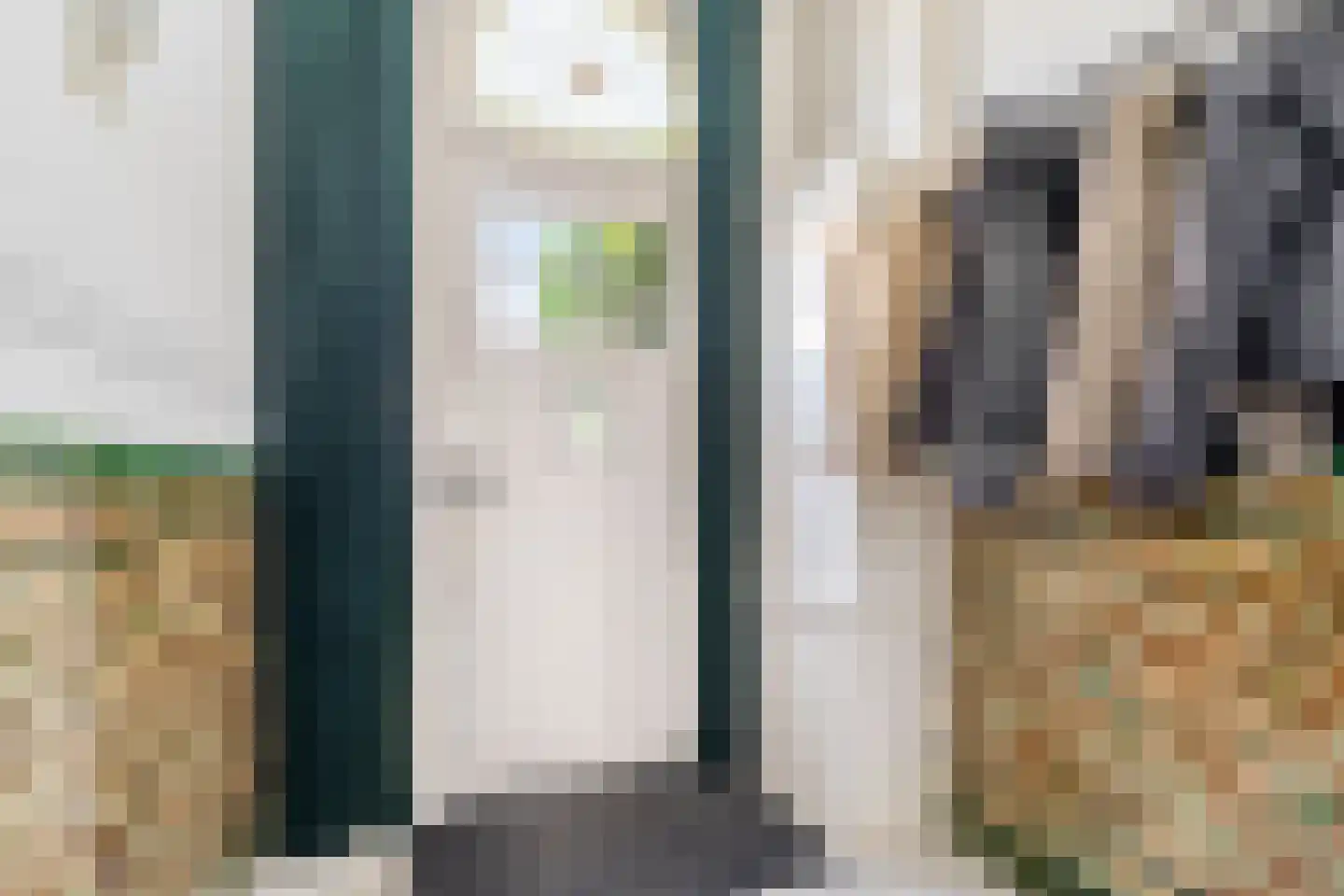 Laan van Meerdervoort 442 Den Haag thumbnail 45