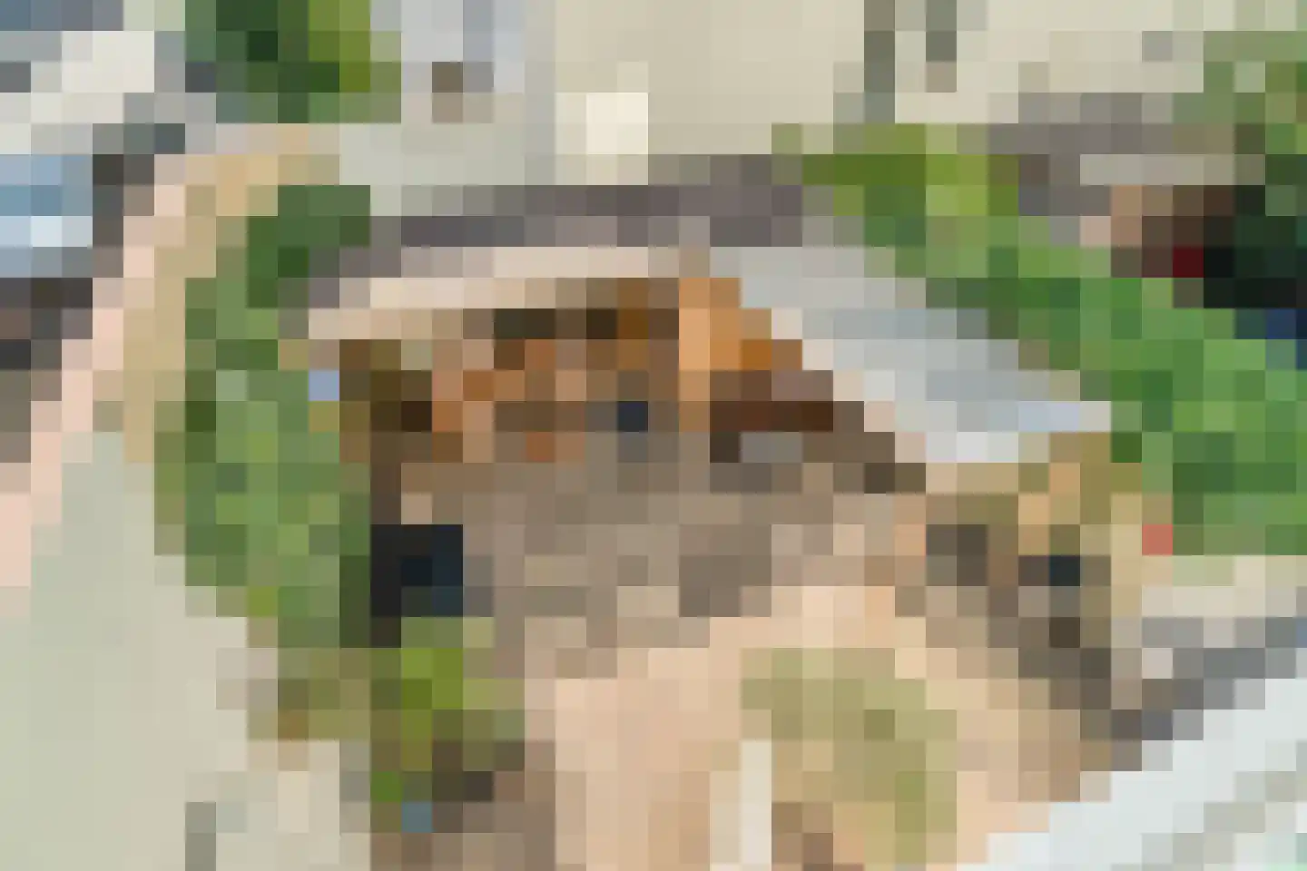 Laan van Meerdervoort 442 Den Haag thumbnail 46