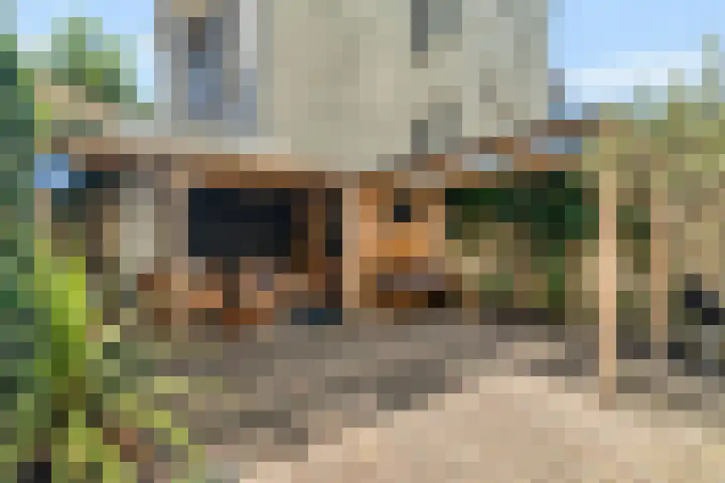 Laan van Meerdervoort 442 Den Haag thumbnail 50