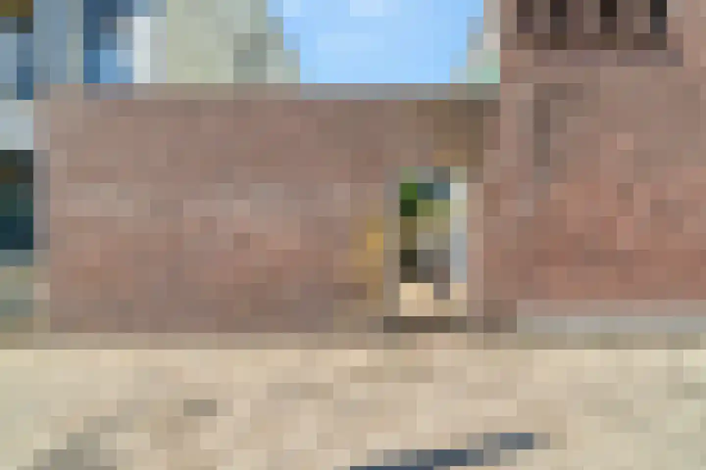 Laan van Meerdervoort 442 Den Haag thumbnail 54