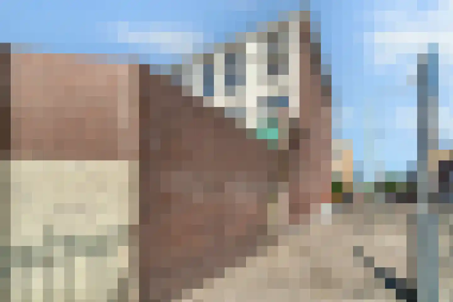 Laan van Meerdervoort 442 Den Haag thumbnail 55