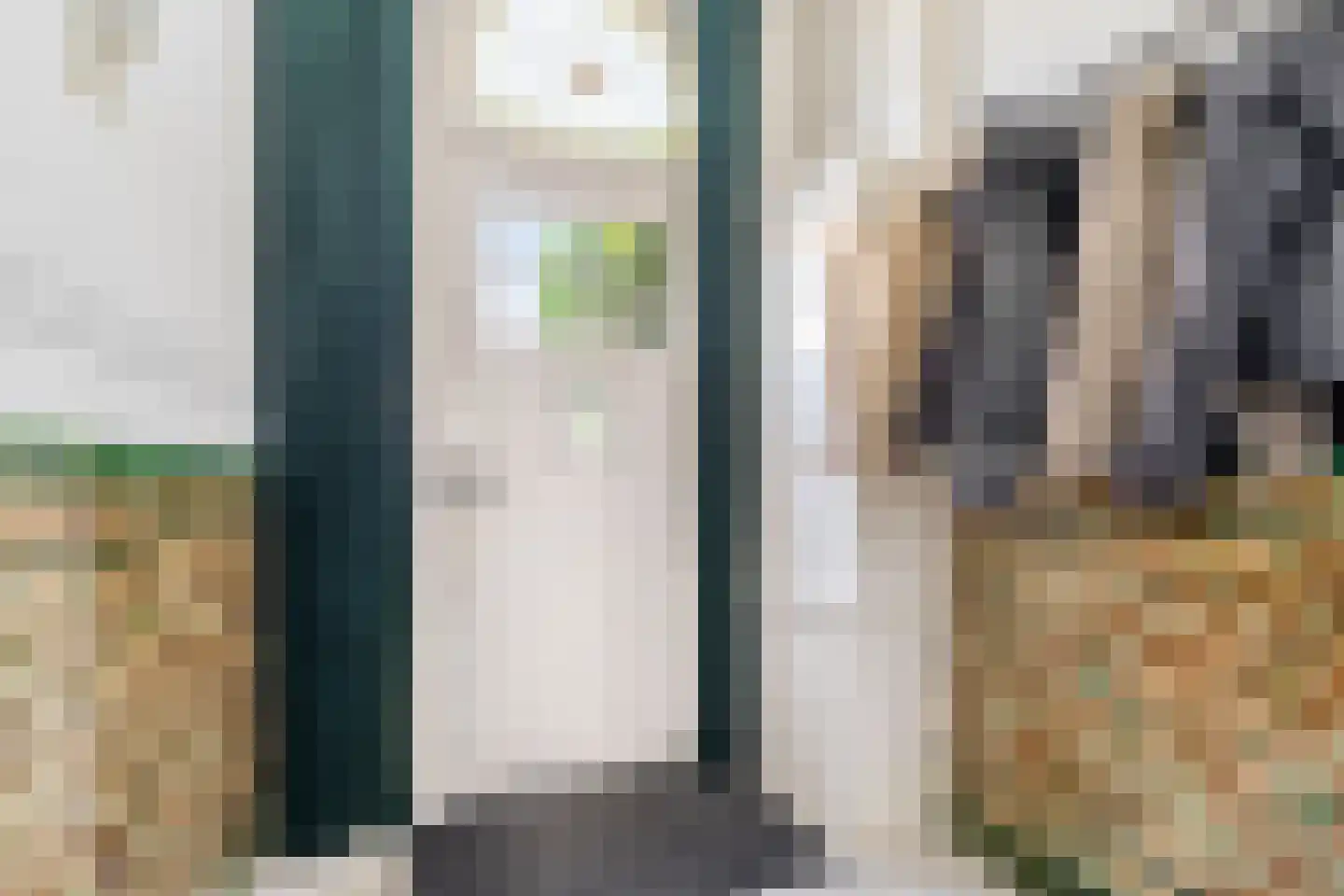 Laan van Meerdervoort 442 Den Haag thumbnail 6