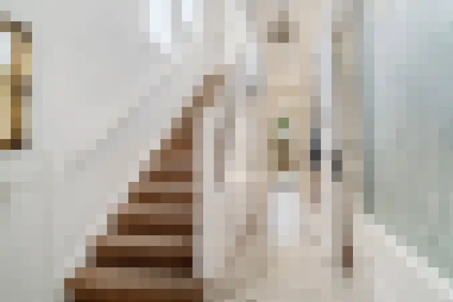 Laan van Meerdervoort 442 Den Haag thumbnail 7
