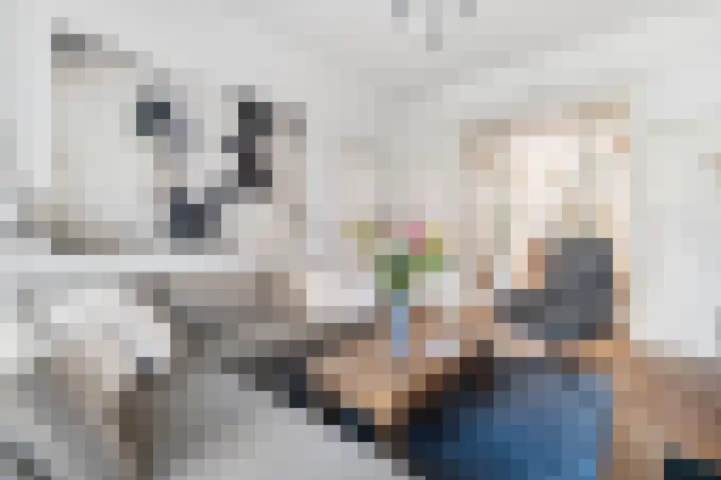 Laan van Meerdervoort 442 Den Haag thumbnail 8
