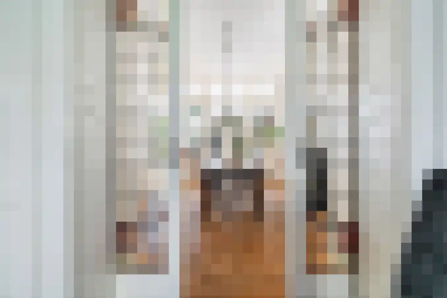 Laan van Meerdervoort 442 Den Haag thumbnail 9