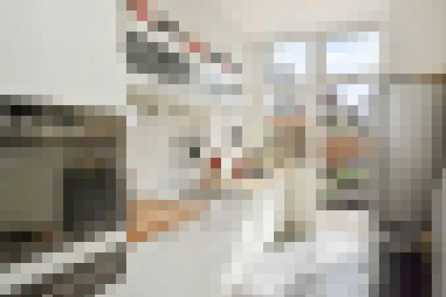 Laan van Meerdervoort 448 Den Haag thumbnail 11