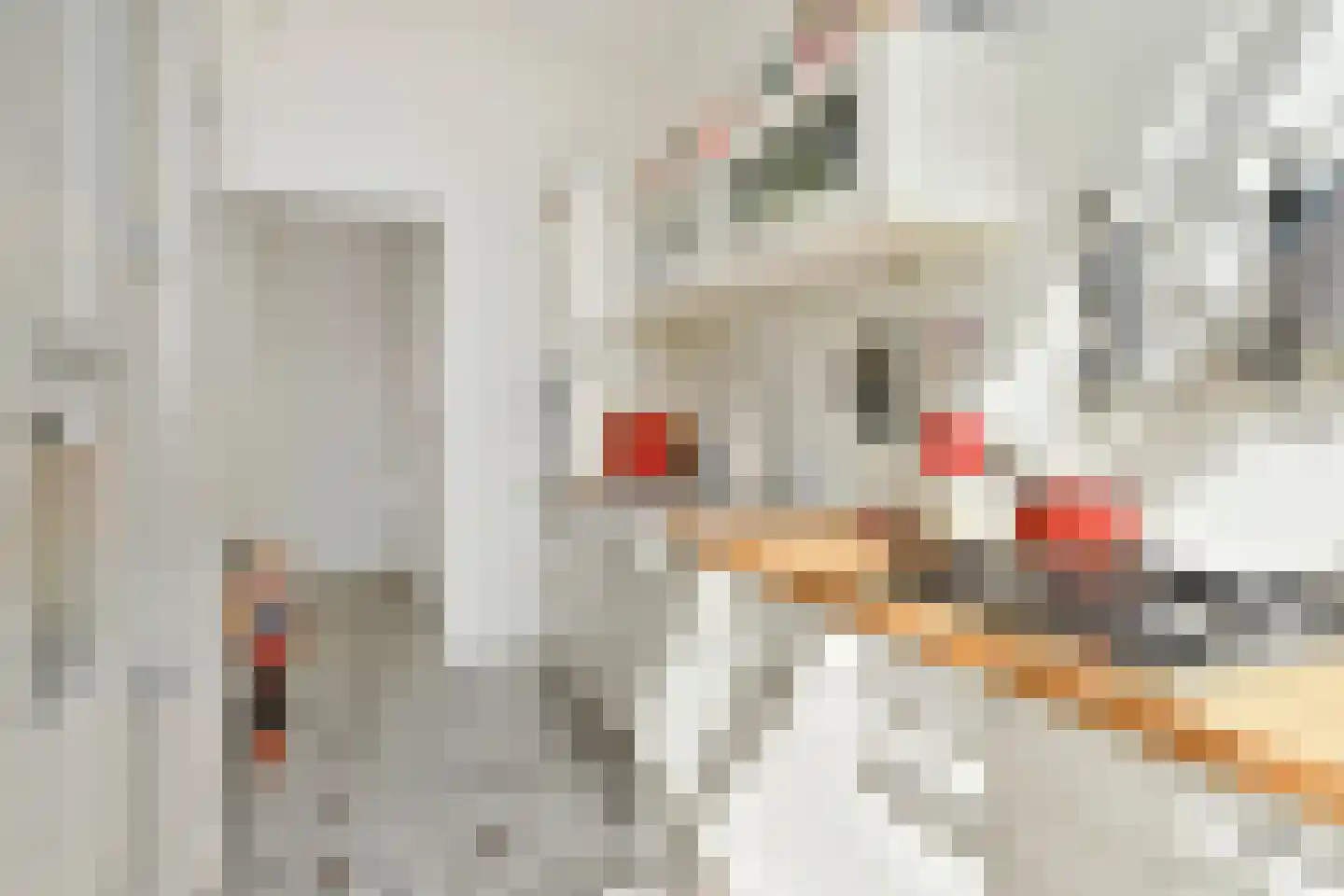 Laan van Meerdervoort 448 Den Haag thumbnail 12