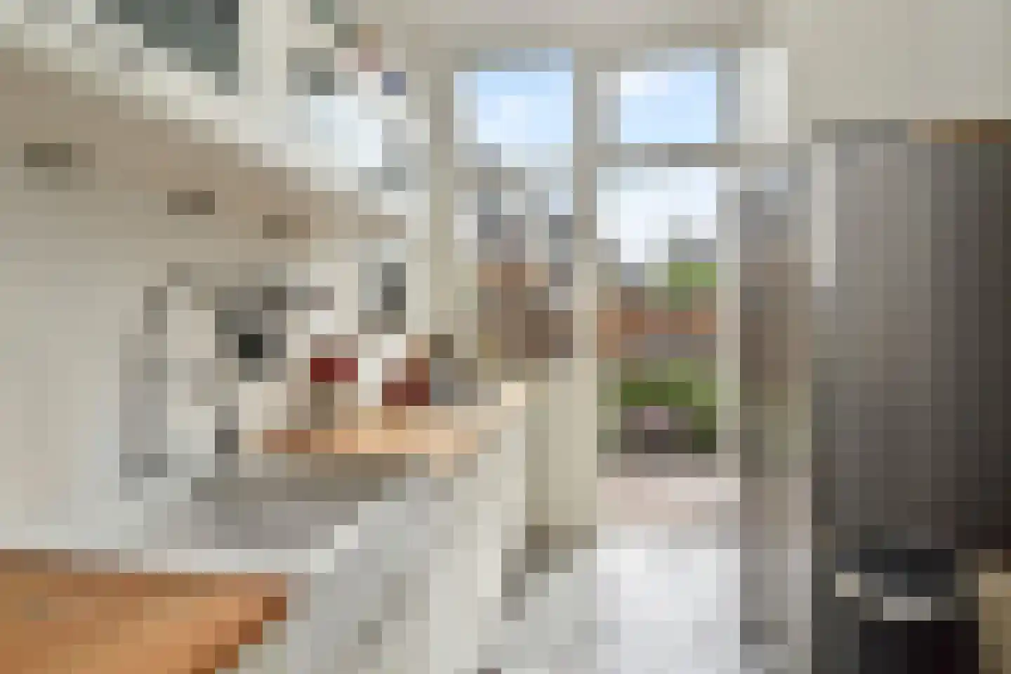 Laan van Meerdervoort 448 Den Haag thumbnail 13