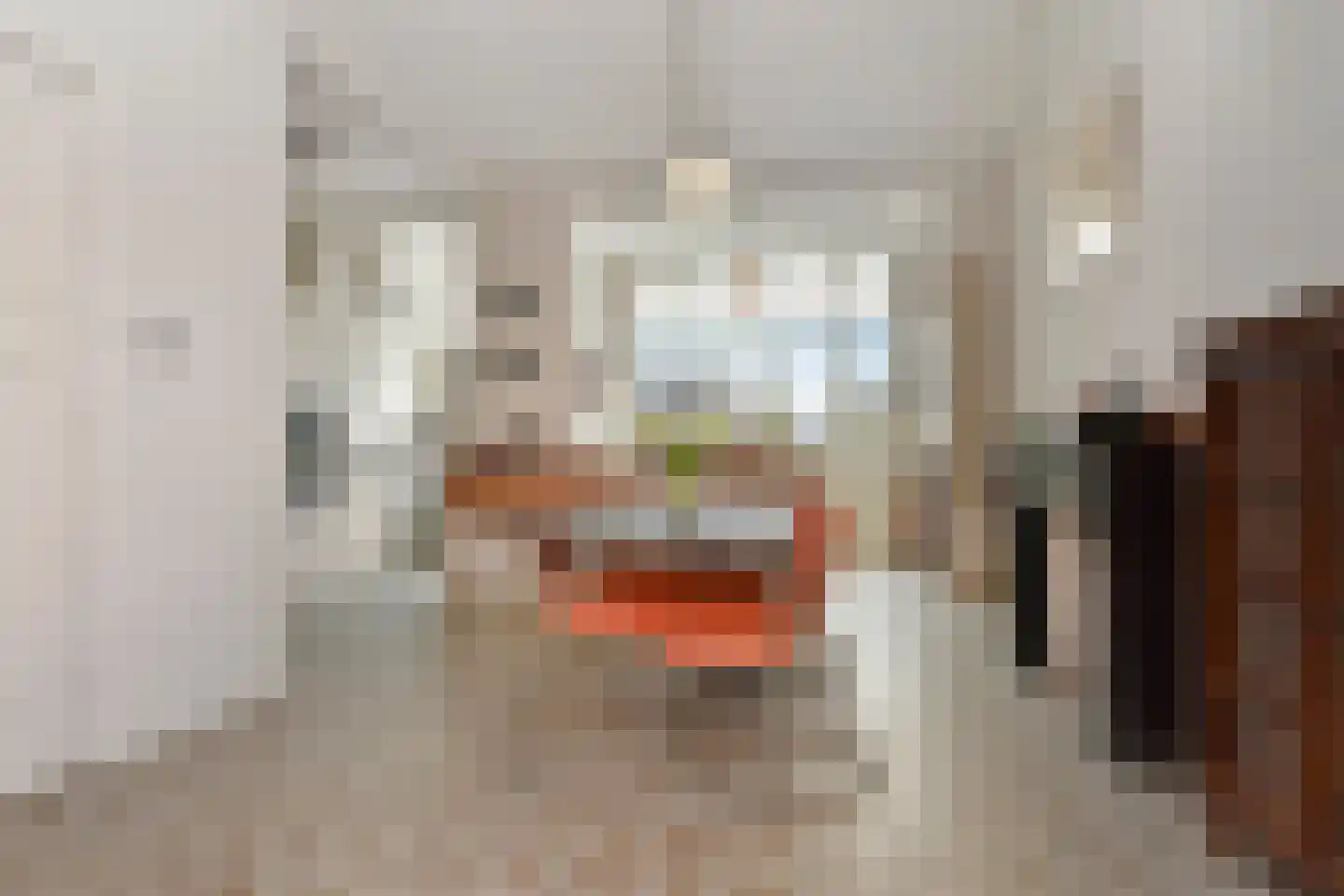 Laan van Meerdervoort 448 Den Haag thumbnail 20