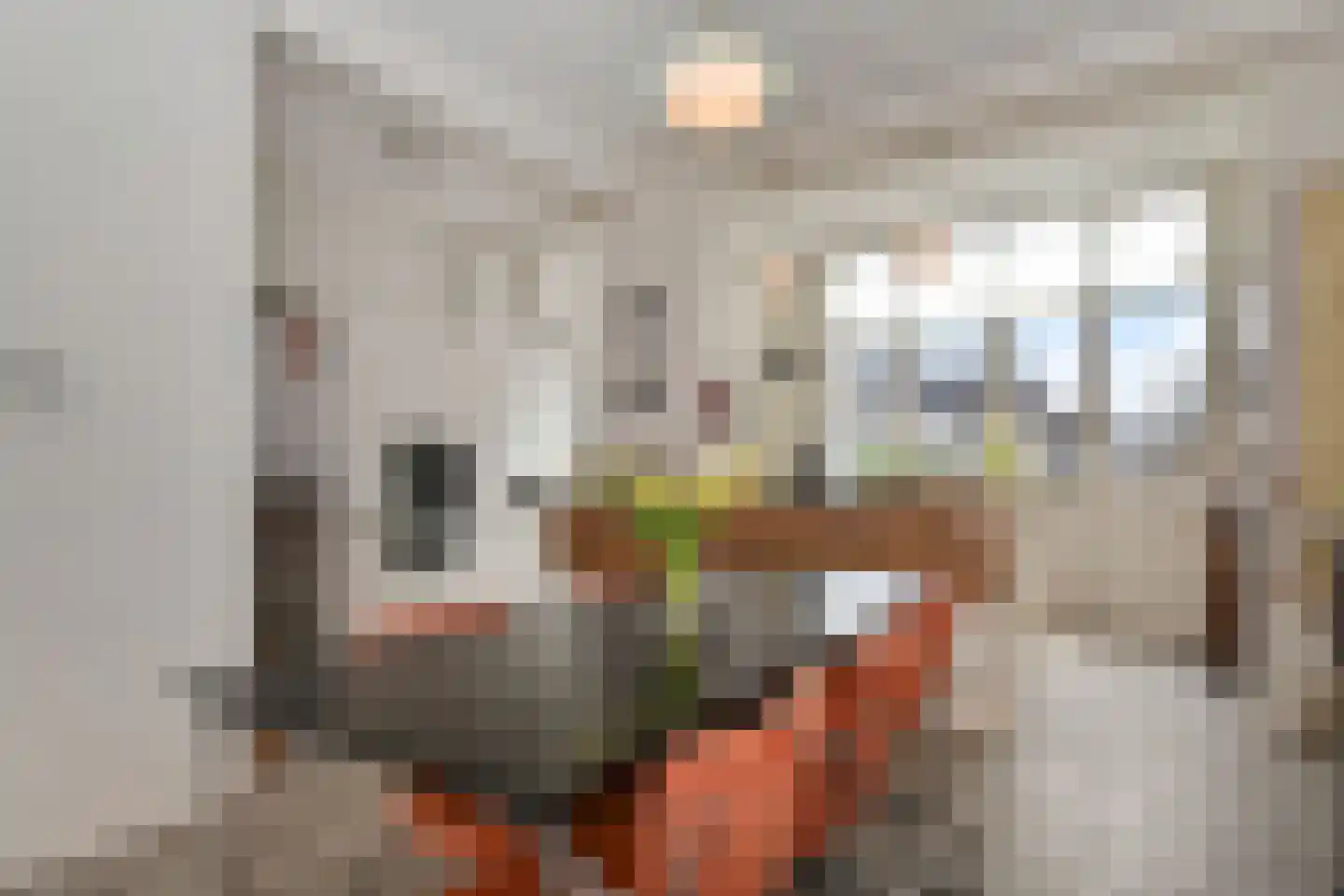 Laan van Meerdervoort 448 Den Haag thumbnail 21