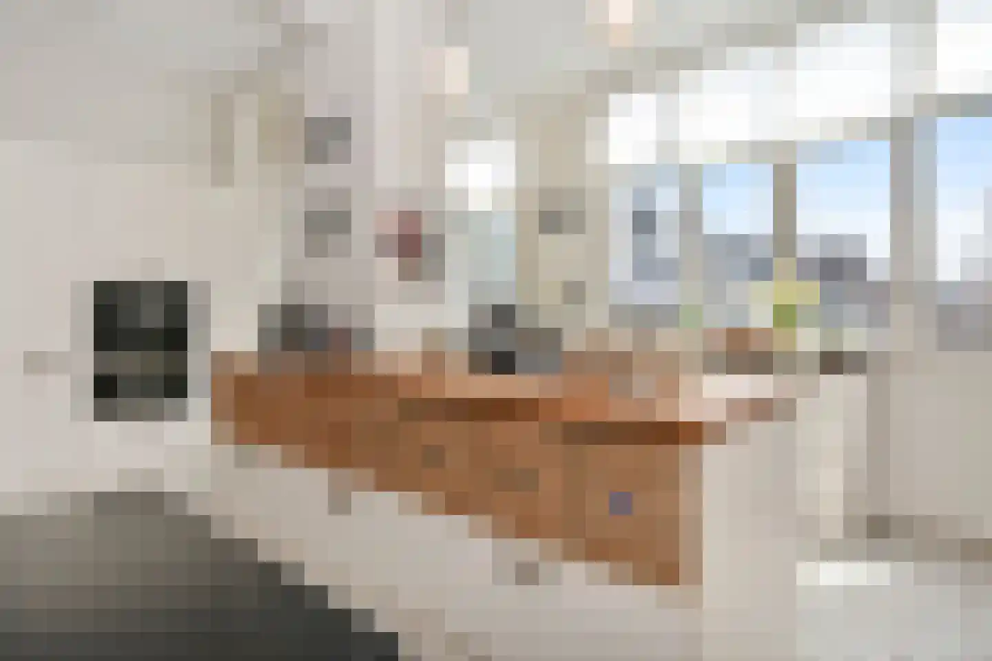 Laan van Meerdervoort 448 Den Haag thumbnail 24