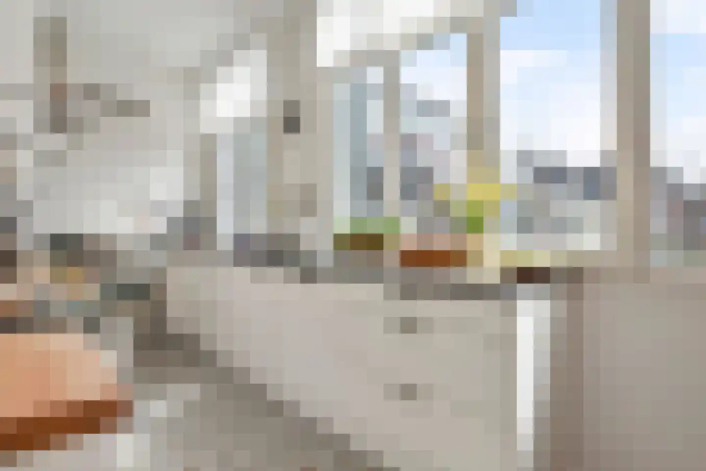 Laan van Meerdervoort 448 Den Haag thumbnail 25