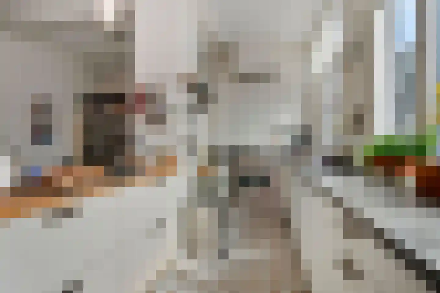 Laan van Meerdervoort 448 Den Haag thumbnail 26