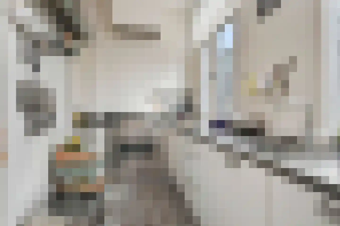Laan van Meerdervoort 448 Den Haag thumbnail 27