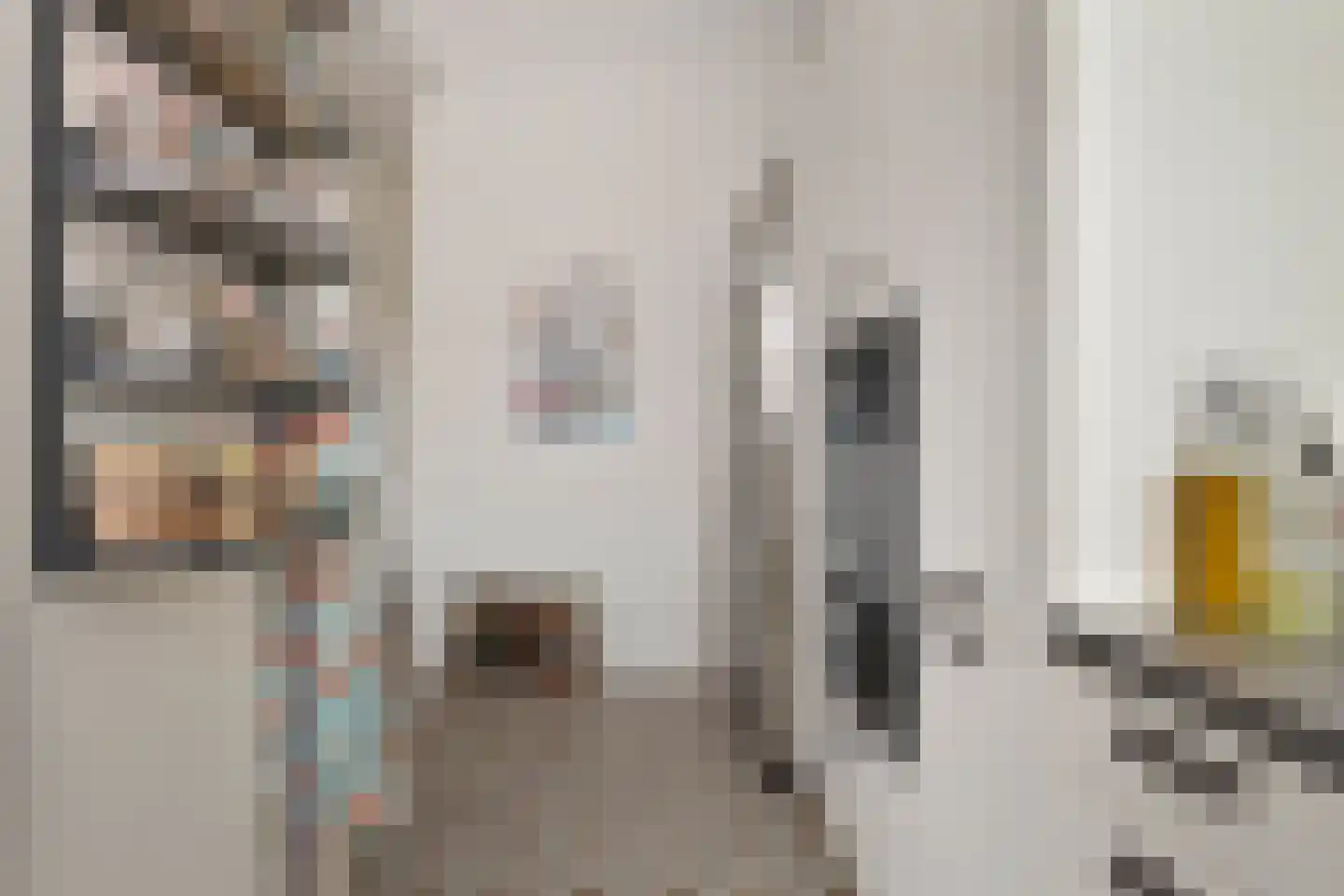 Laan van Meerdervoort 448 Den Haag thumbnail 28