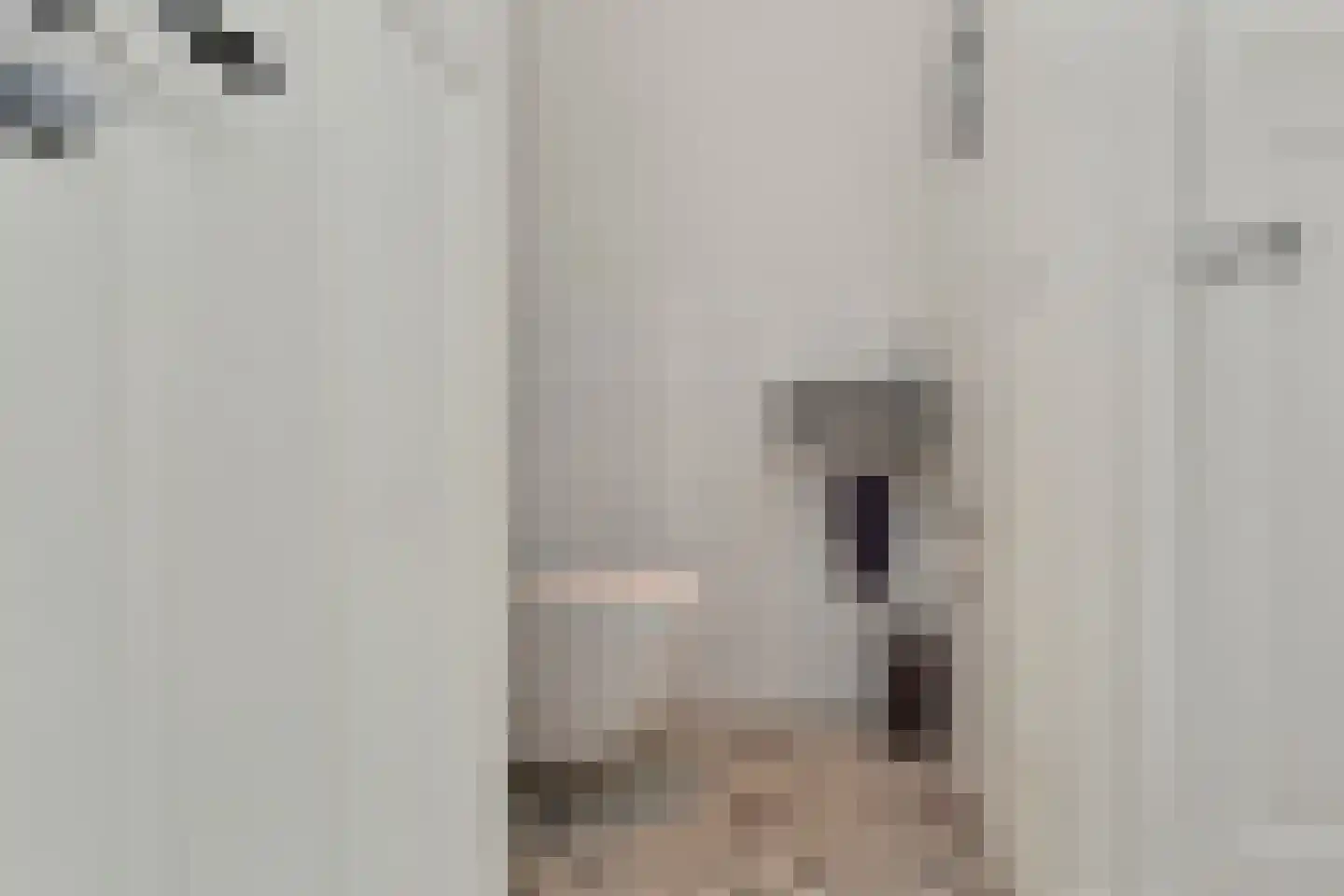 Laan van Meerdervoort 448 Den Haag thumbnail 6