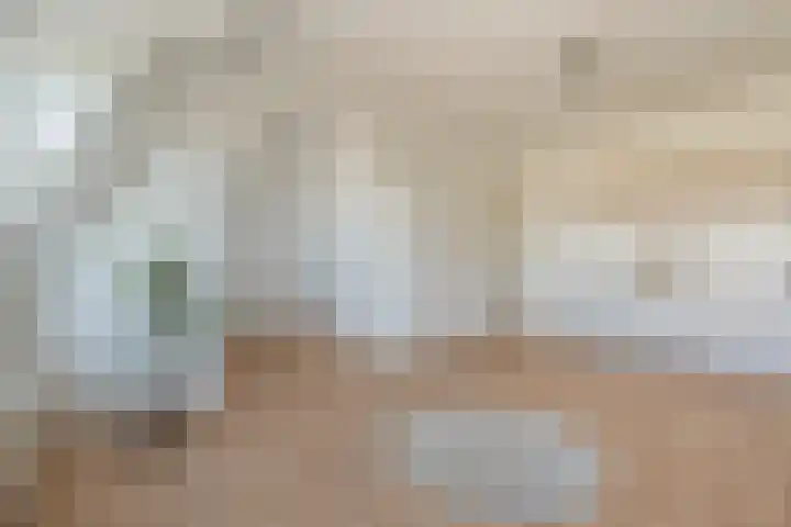 Laan van Meerdervoort 450 B Den Haag thumbnail 10