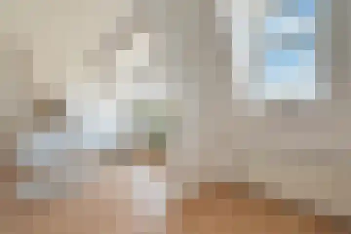 Laan van Meerdervoort 450 B Den Haag thumbnail 12