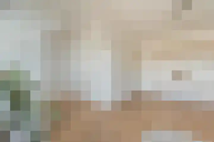 Laan van Meerdervoort 450 B Den Haag thumbnail 14