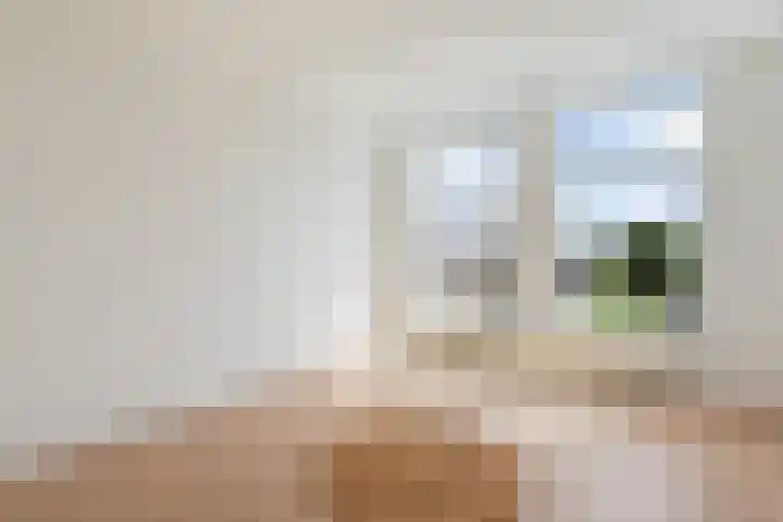 Laan van Meerdervoort 450 B Den Haag thumbnail 21