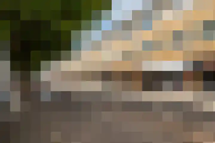 Laan van Meerdervoort 450 B Den Haag thumbnail 25