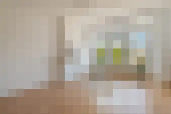 Laan van Meerdervoort 450 B Den Haag thumbnail 6