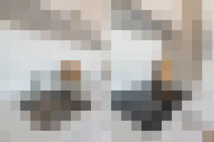 Laan van Meerdervoort 450 B Den Haag thumbnail 8