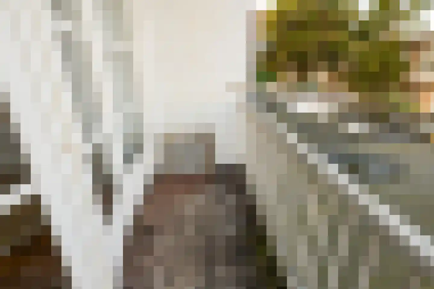 Laan van Meerdervoort 457 Den Haag thumbnail 14