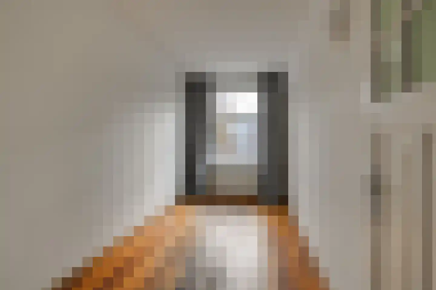 Laan van Meerdervoort 457 Den Haag thumbnail 25