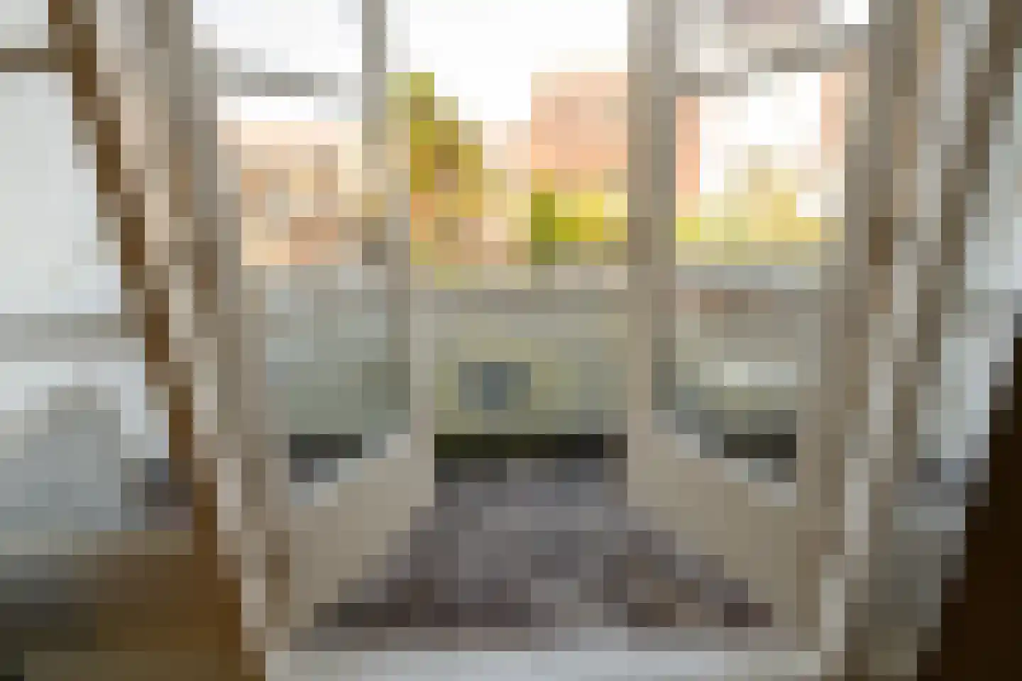 Laan van Meerdervoort 457 Den Haag thumbnail 5