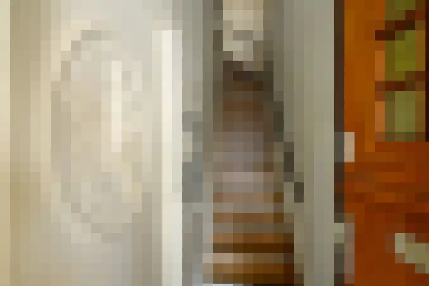 Laan van Meerdervoort 457 Den Haag thumbnail 7