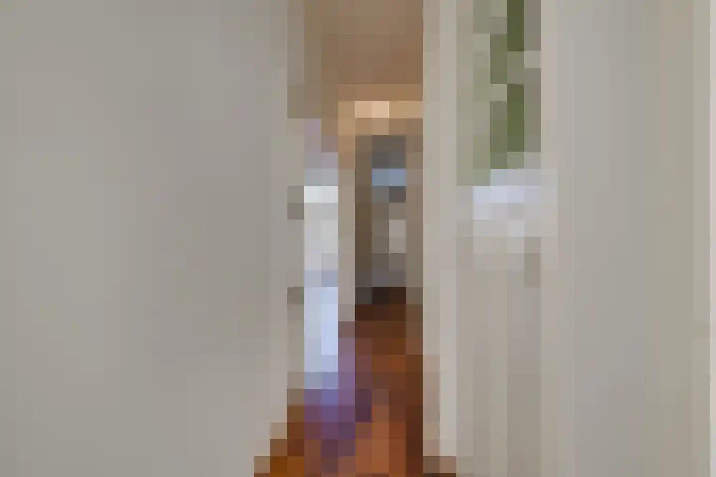 Laan van Meerdervoort 457 Den Haag thumbnail 8